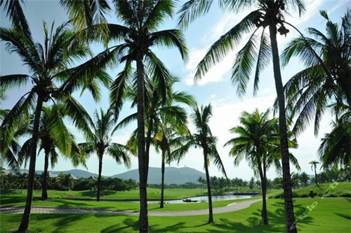 臻婆湾金陵小碗菜