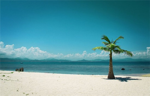 WPC地板品牌排行榜