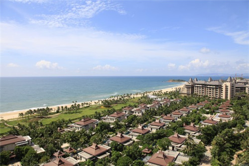 鱼胶10大品牌