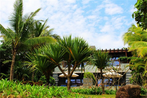 喜欢芒奶茶现在可以加盟吗