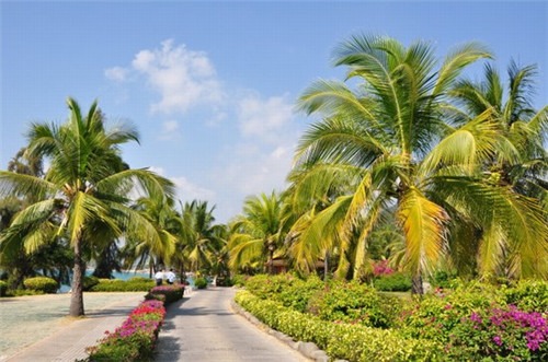 山东天敌消杀，山东天敌加盟费多少