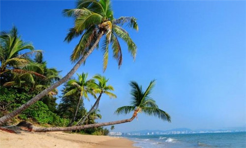 渝悦楼加盟费多少