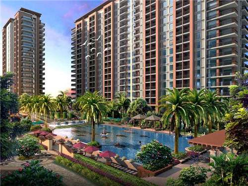 会同县有什么好的期货加盟品牌