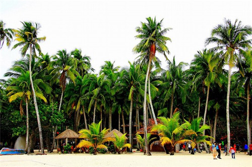 抖音号带图带文字可以吗（抖音号带图带文字可以吗怎么弄）