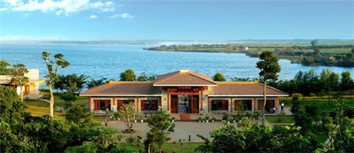 茶叶能够采几次吗（茶叶采摘下来能放多久）