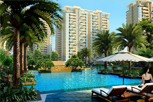 洋葱可以做炒肉吃吗（洋葱可以做炒肉吃吗视频）