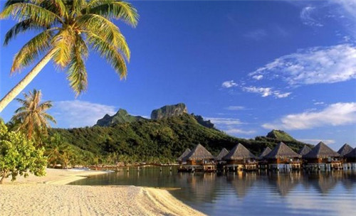 我要看飞碟十大名片（有关飞碟的视频）