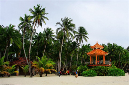 爱你的人会慢热吗是什么歌（爱你的人会动你吗）